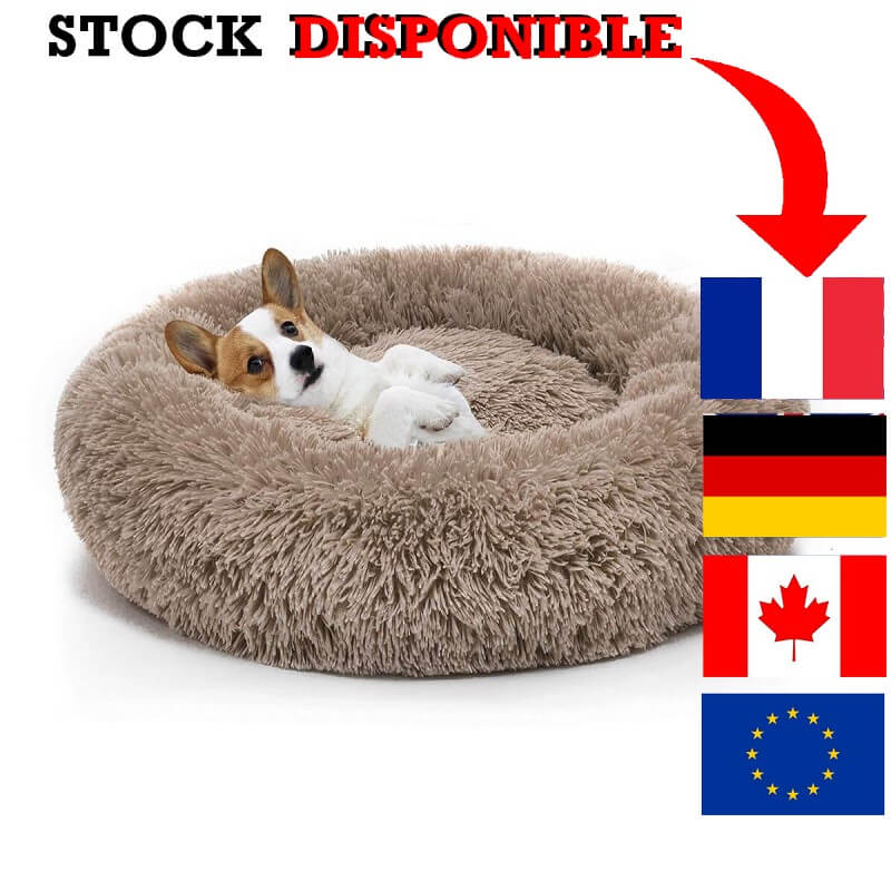 Panier pour Chien, Panier pour Chat, Coussin Rond et Lit pour Chat, Tapis et Canapé Chien