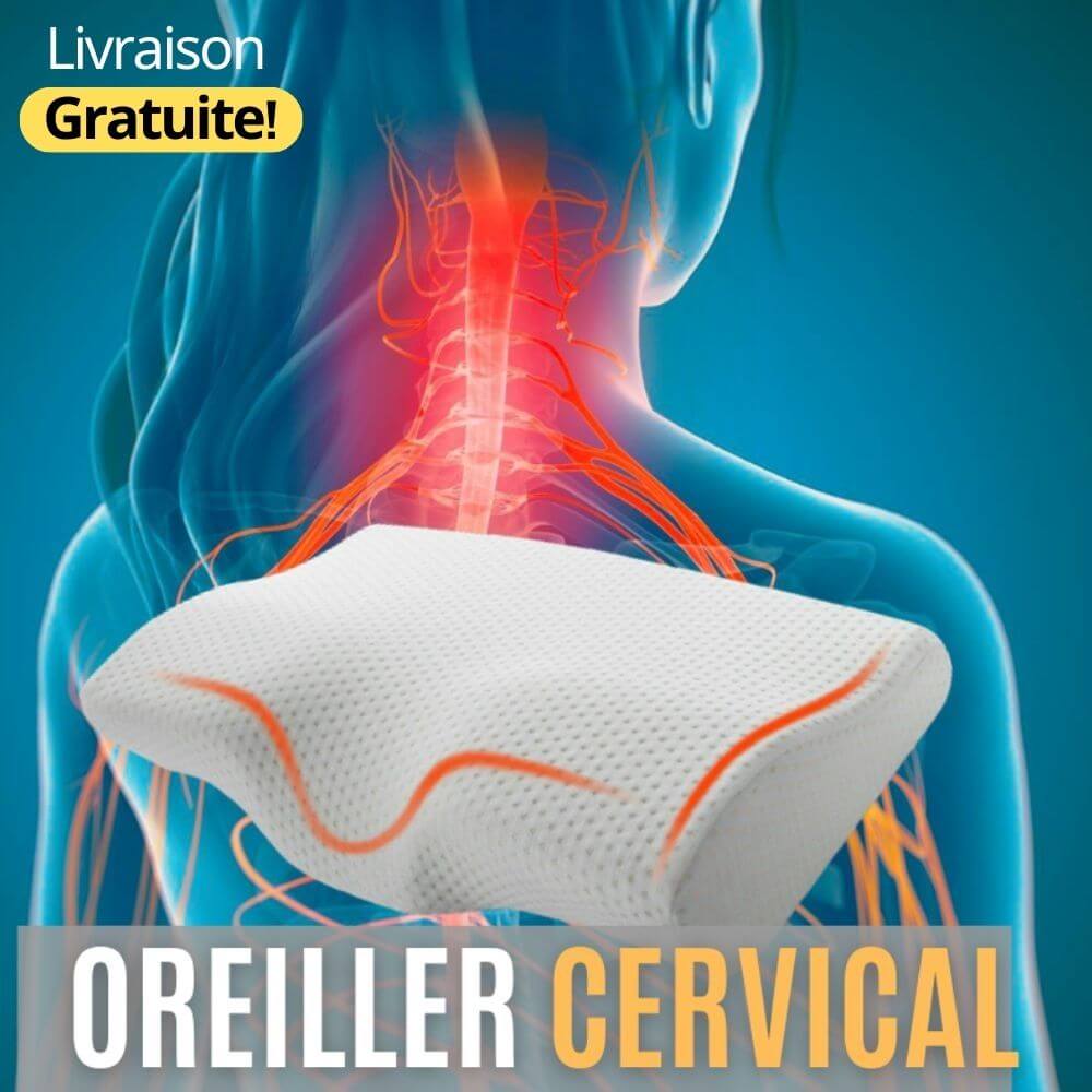 Oreiller Memoire de Forme, Oreiller Cervical Ergonomique, Coussin Douleurs Cou