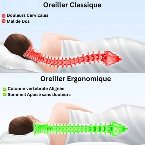 Oreiller à Mémoire De Forme 2-en-1 Dreamhigh - Ergonomique Cervical, Soulage Douleurs Cou & Épaules, 62x37 Cm
