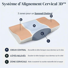 Oreiller Anti Ronflement Cervical à Memoire de Forme