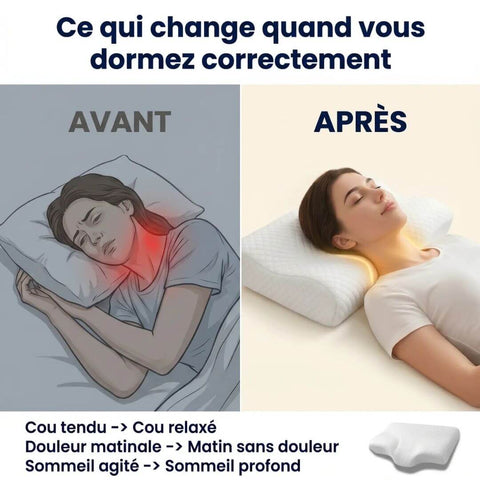 Oreiller Cervical Orthopédique