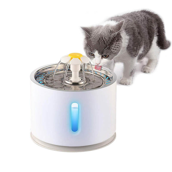 AQUAMINOU™ | Fontaine à Eau pour Chat
